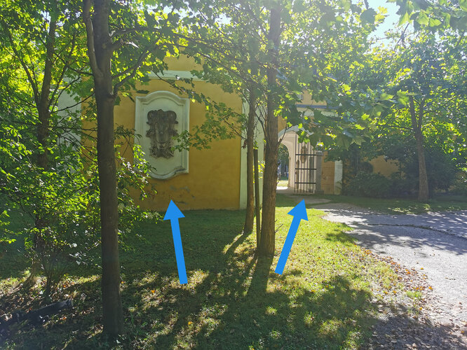 Schloss Aschach - Gräflich Harrach'scher Wappenstein