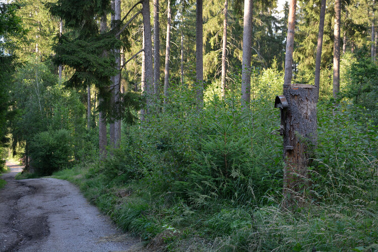 Gedenktafel Franz Haider