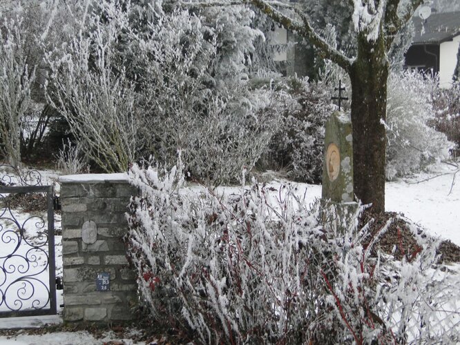 Breitpfeiler  Scholl