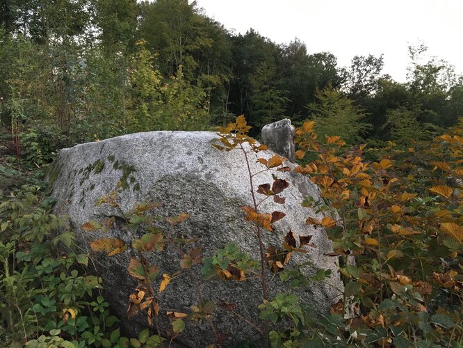 Fanzosenstein am Anitzberger Kirchensteig