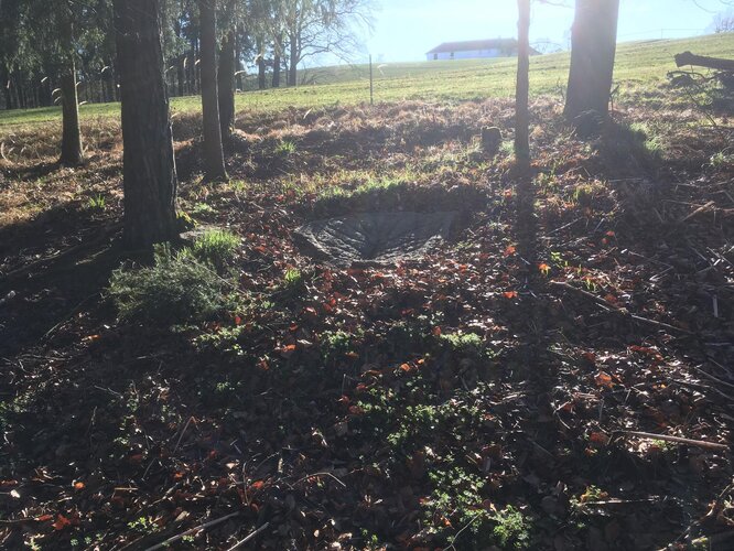 Pechölstein beim Satzinger