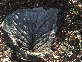 Pechölstein beim Satzinger