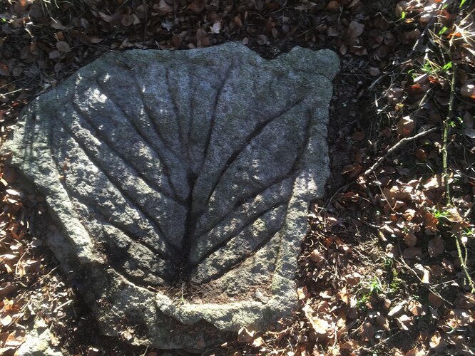 Pechölstein beim Satzinger