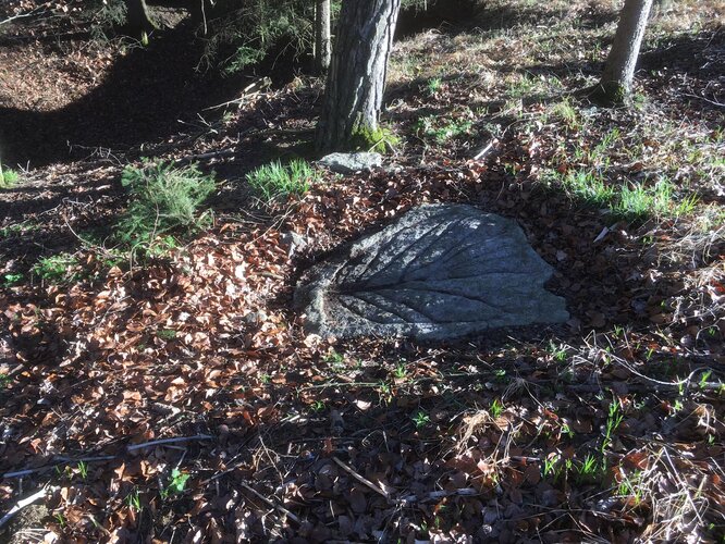 Pechölstein beim Satzinger