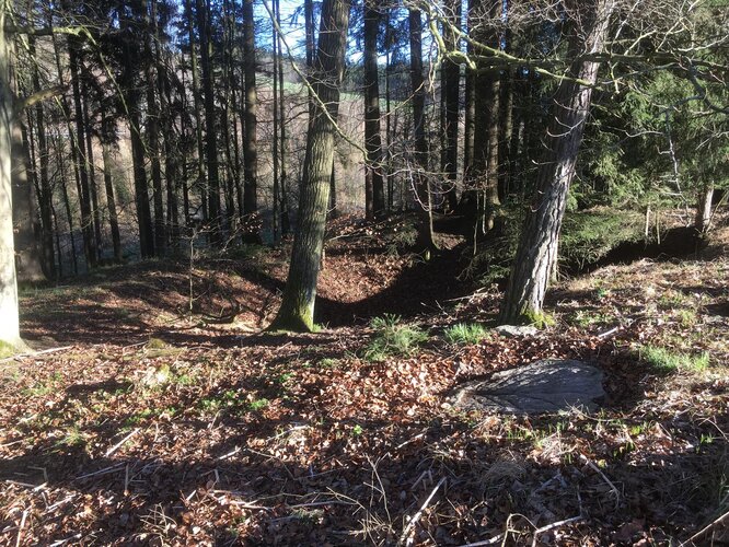 Bombentrichter beim Satzinger