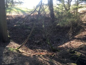 Bombentrichter beim Satzinger