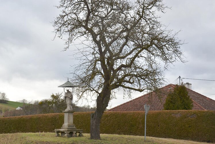 Hl. Johannes Nepomuk