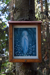 Vier-Häuser-Weg - Bildbaum