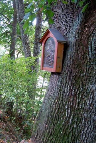 Fuchsmühle - Bildbaum