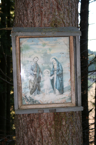 Niedermayer Bildbaum