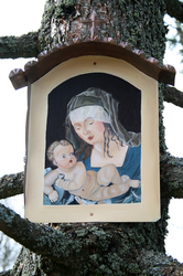 Freynschlag Bildbaum