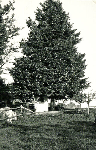 Hofbauern Kreuzstöckl