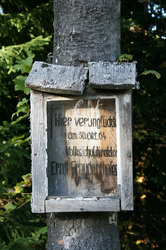 Freudenthaler Bildbaum