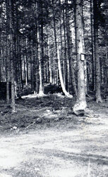 Kreuz am Reiterer Weg