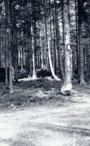 Kreuz am Reiterer Weg