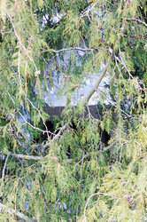 Pollak Kreuzstöckl 2