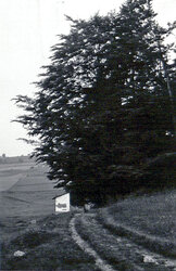 Hinter Ahorner Kreuzstöckl