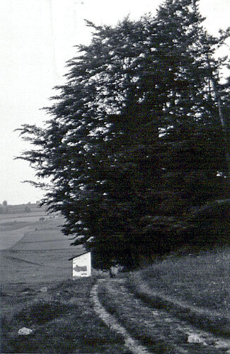 Hinter Ahorner Kreuzstöckl