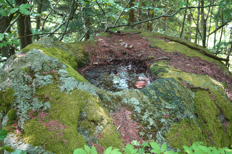 Schalensteine Bröderbauer Schale