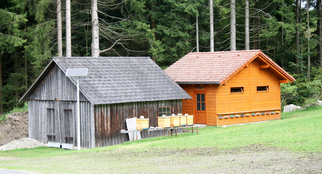 Bienenhütte Praher