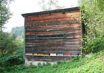 Bienenhütte Binder