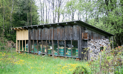 Bienenhütte Schübl