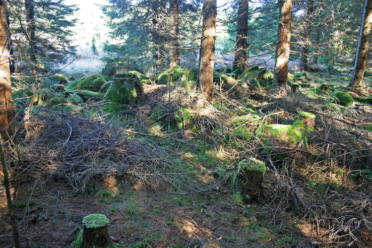 Glashütte Christophstal oder Neuhütte