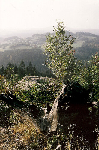 Schalensteine Hausberg Schalen