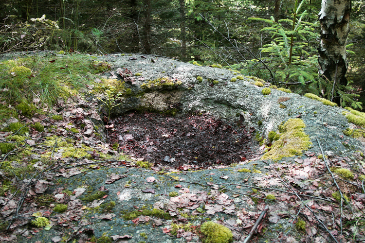 Schalensteine Hausberg Schalen