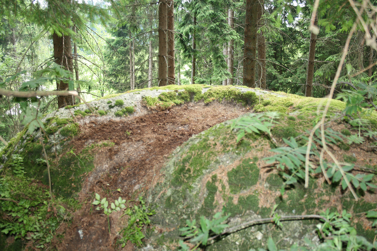 Schalensteine Haiderberg Schalen 1