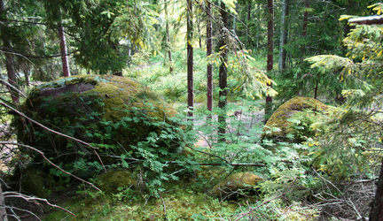 Schalensteine Haiderberg Schalen 1