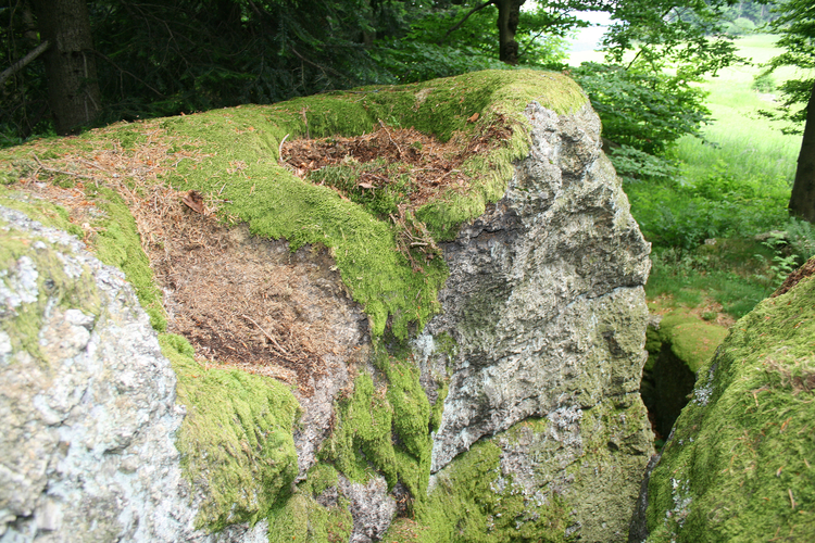 Schalensteine Himmelbauer Schalen