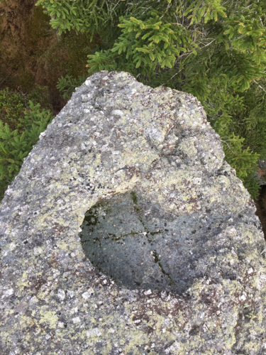 Schalensteine Ochsenbergschale