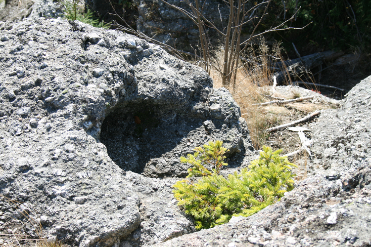 Schalensteine Schneidermauer Schale