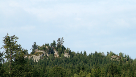 Schalensteine Schneidermauer Schale
