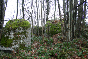 Schalensteine Maurer Schalen 2