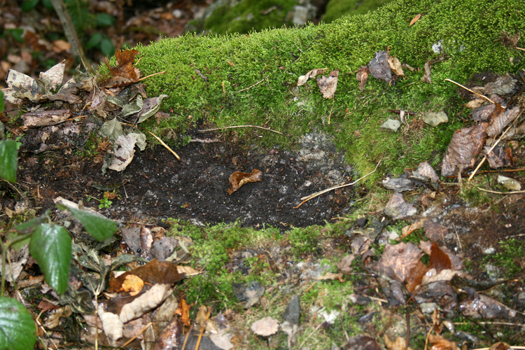 Schalensteine Maurer Schalen 2