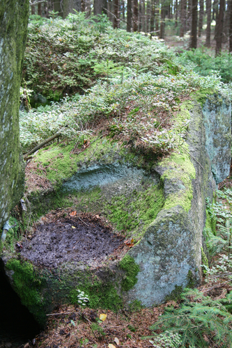 Schalensteine Mühlbachler Schalen 2