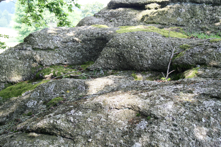 Schalensteine Haubner Schalen 1