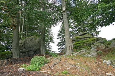 Schalensteine Haubner Schalen 1