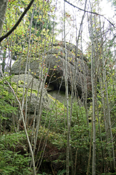 Schalensteine Teufelskessel