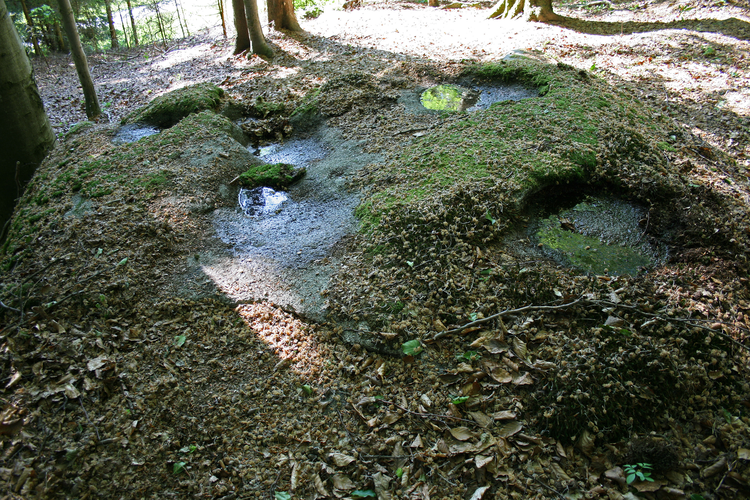 Schalensteine Roßgatterer Schalen