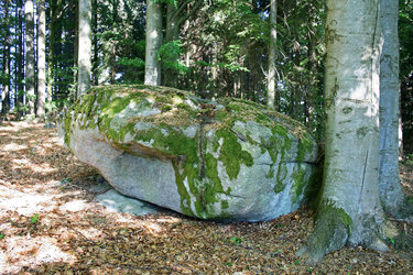 Schalensteine Roßgatterer Schalen