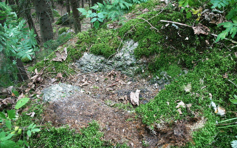 Schalensteine Hacklberg Schale