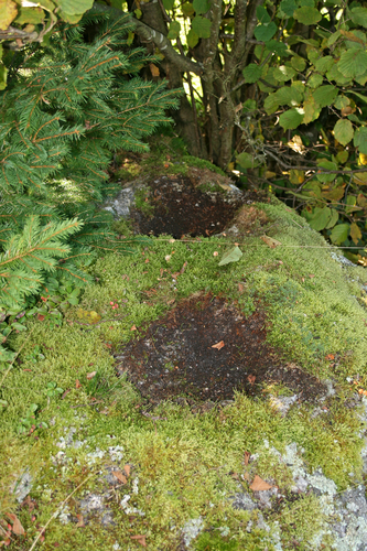 Schalensteine Kasis Schalen 2