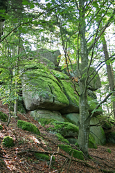 Schalensteine Stöcklberger Schalen 1