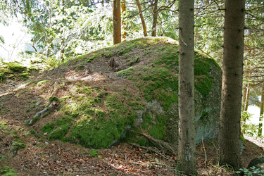 Schalensteine Stöckelberger Schalen 2