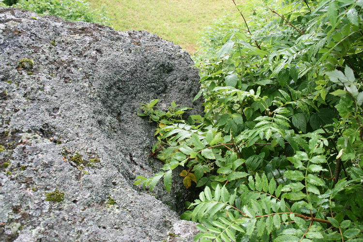 Schalensteine Zistler Schalen