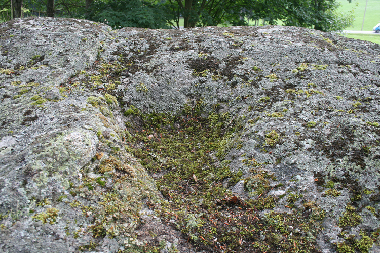 Schalensteine Zistler Schalen