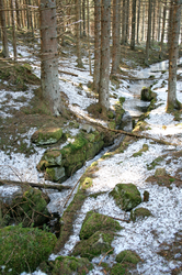 Glashütte im Bauernberg - Pocher